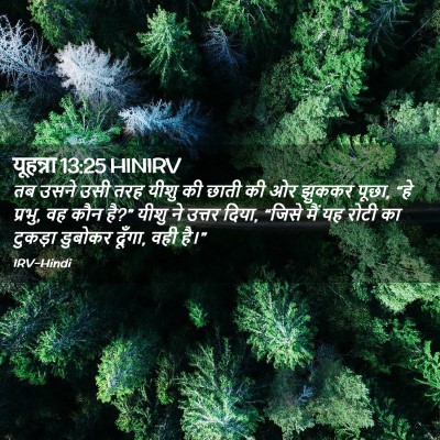 Picture 02 - यूहन्ना 13:25 HINIRV - तब उसने उसी तरह - Bible Verse Picture