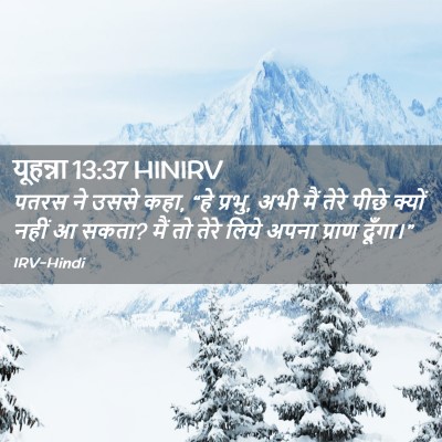 Picture 02 - यूहन्ना 13:37 HINIRV - पतरस ने उससे कहा, - Bible Verse Picture