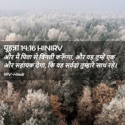 Picture 02 - यूहन्ना 14:16 HINIRV - और मैं पिता से - Bible Verse Picture