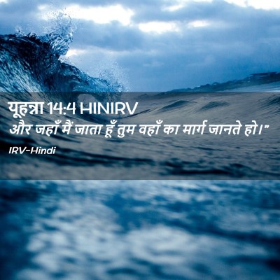 Picture 02 - यूहन्ना 14:4 HINIRV - और जहाँ मैं जाता - Bible Verse Picture