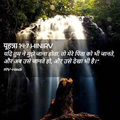Picture 02 - यूहन्ना 14:7 HINIRV - यदि तुम ने मुझे - Bible Verse Picture