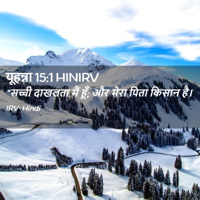 Picture 02 - यूहन्ना 15:1 HINIRV - “सच्ची दाखलता मैं - Bible Verse Picture