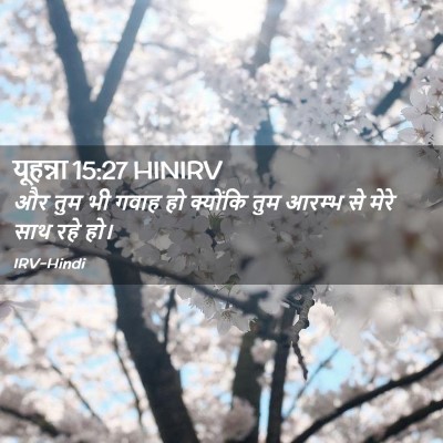Picture 02 - यूहन्ना 15:27 HINIRV - और तुम भी गवाह हो - Bible Verse Picture