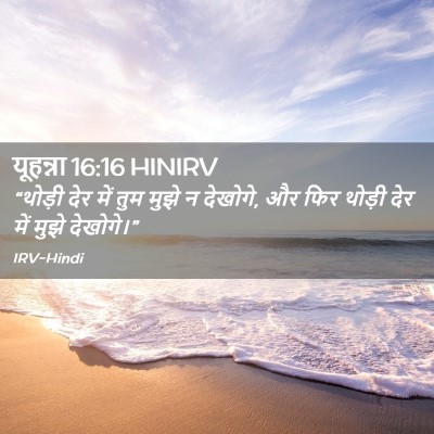 Picture 02 - यूहन्ना 16:16 HINIRV - “थोड़ी देर में तुम - Bible Verse Picture