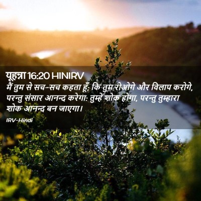 Picture 02 - यूहन्ना 16:20 HINIRV - मैं तुम से सच-सच - Bible Verse Picture