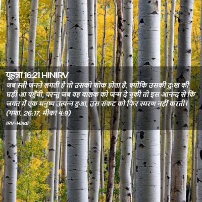 Picture 02 - यूहन्ना 16:21 HINIRV - जब स्त्री जनने - Bible Verse Picture