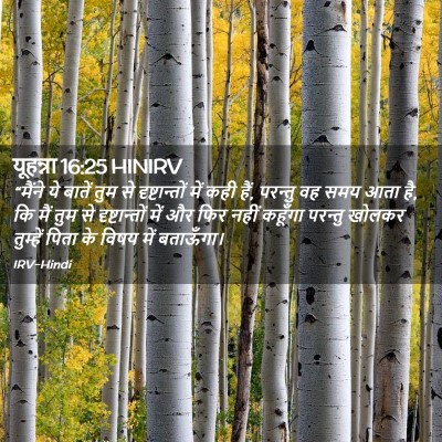 Picture 02 - यूहन्ना 16:25 HINIRV - “मैंने ये बातें - Bible Verse Picture