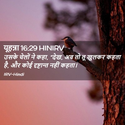 Picture 02 - यूहन्ना 16:29 HINIRV - उसके चेलों ने कहा, - Bible Verse Picture