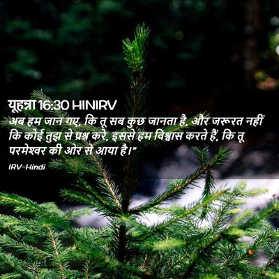 Picture 02 - यूहन्ना 16:30 HINIRV - अब हम जान गए, कि तू - Bible Verse Picture