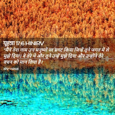 Picture 02 - यूहन्ना 17:6 HINIRV - “मैंने तेरा नाम उन - Bible Verse Picture
