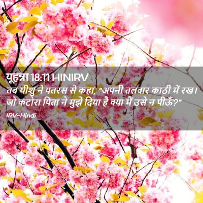 Picture 02 - यूहन्ना 18:11 HINIRV - तब यीशु ने पतरस से - Bible Verse Picture