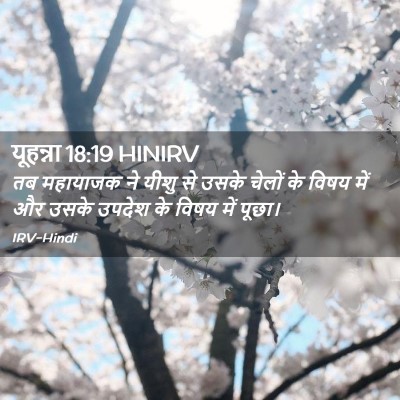 Picture 02 - यूहन्ना 18:19 HINIRV - तब महायाजक ने यीशु - Bible Verse Picture