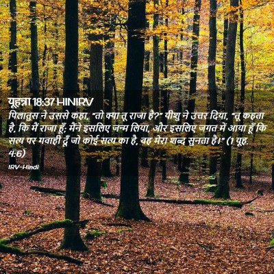Picture 02 - यूहन्ना 18:37 HINIRV - पिलातुस ने उससे - Bible Verse Picture