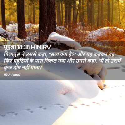 Picture 02 - यूहन्ना 18:38 HINIRV - पिलातुस ने उससे - Bible Verse Picture