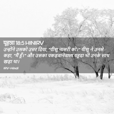 Picture 02 - यूहन्ना 18:5 HINIRV - उन्होंने उसको - Bible Verse Picture