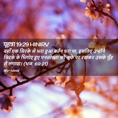 Picture 02 - यूहन्ना 19:29 HINIRV - वहाँ एक सिरके से - Bible Verse Picture