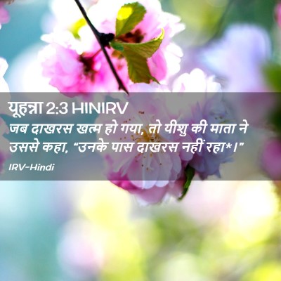 Picture 02 - यूहन्ना 2:3 HINIRV - जब दाखरस खत्म हो - Bible Verse Picture