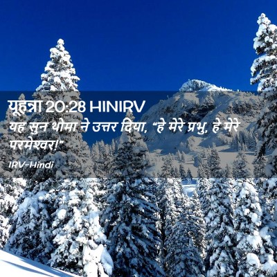Picture 02 - यूहन्ना 20:28 HINIRV - यह सुन थोमा ने - Bible Verse Picture