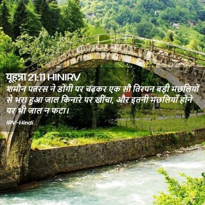 Picture 02 - यूहन्ना 21:11 HINIRV - शमौन पतरस ने डोंगी - Bible Verse Picture