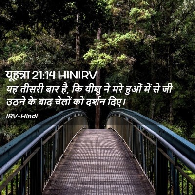 Picture 02 - यूहन्ना 21:14 HINIRV - यह तीसरी बार है, कि - Bible Verse Picture