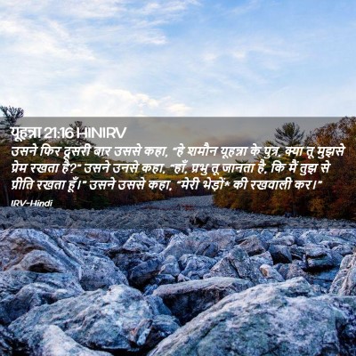 Picture 02 - यूहन्ना 21:16 HINIRV - उसने फिर दूसरी बार - Bible Verse Picture