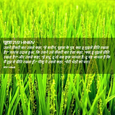 Picture 02 - यूहन्ना 21:17 HINIRV - उसने तीसरी बार - Bible Verse Picture