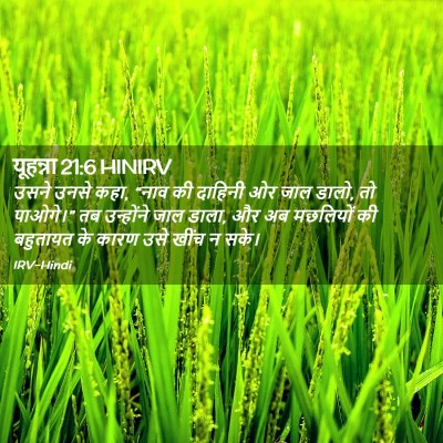 Picture 02 - यूहन्ना 21:6 HINIRV - उसने उनसे कहा, “नाव - Bible Verse Picture