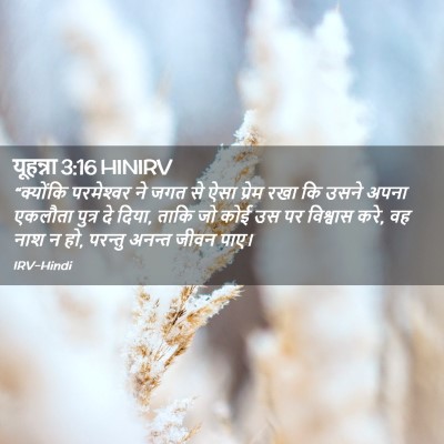 Picture 02 - यूहन्ना 3:16 HINIRV - “क्योंकि - Bible Verse Picture