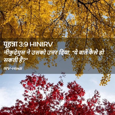 Picture 02 - यूहन्ना 3:9 HINIRV - नीकुदेमुस ने उसको - Bible Verse Picture