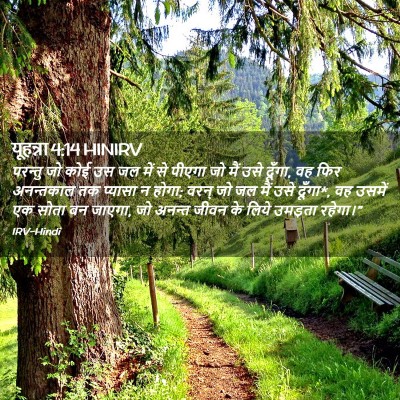 Picture 02 - यूहन्ना 4:14 HINIRV - परन्तु जो कोई उस जल - Bible Verse Picture
