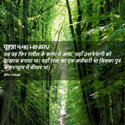 Picture 02 - यूहन्ना 4:46 HINIRV - तब वह फिर गलील के - Bible Verse Picture