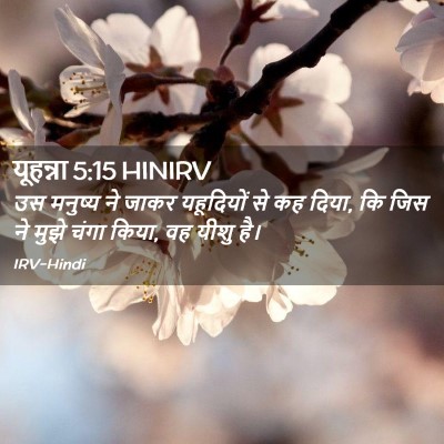 Picture 02 - यूहन्ना 5:15 HINIRV - उस मनुष्य ने जाकर - Bible Verse Picture