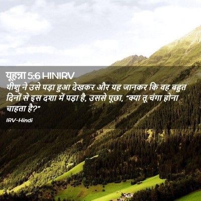 Picture 02 - यूहन्ना 5:6 HINIRV - यीशु ने उसे पड़ा - Bible Verse Picture