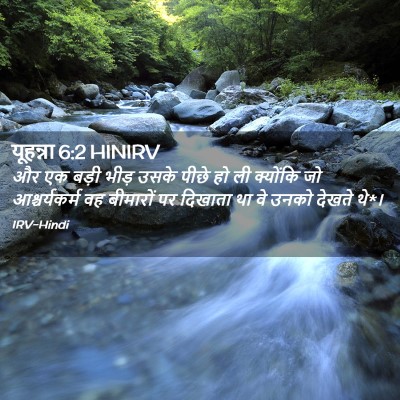 Picture 02 - यूहन्ना 6:2 HINIRV - और एक बड़ी भीड़ - Bible Verse Picture
