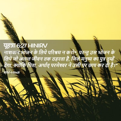 Picture 02 - यूहन्ना 6:27 HINIRV - नाशवान भोजन के - Bible Verse Picture
