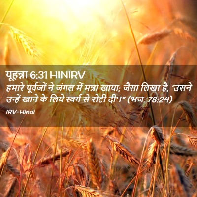 Picture 02 - यूहन्ना 6:31 HINIRV - हमारे पूर्वजों ने - Bible Verse Picture