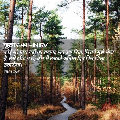 Picture 02 - यूहन्ना 6:44 HINIRV - कोई मेरे पास नहीं आ - Bible Verse Picture