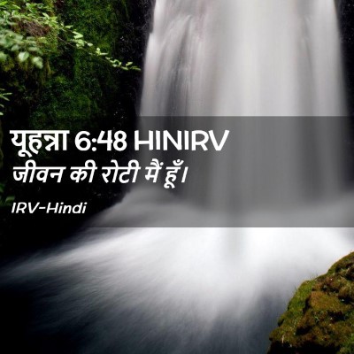 Picture 02 - यूहन्ना 6:48 HINIRV - जीवन की रोटी मैं - Bible Verse Picture