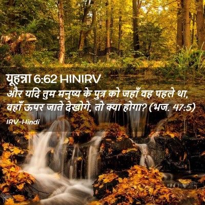 Picture 02 - यूहन्ना 6:62 HINIRV - और यदि तुम मनुष्य - Bible Verse Picture