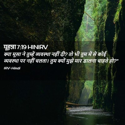 Picture 02 - यूहन्ना 7:19 HINIRV - क्या मूसा ने - Bible Verse Picture
