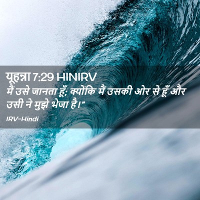 Picture 02 - यूहन्ना 7:29 HINIRV - मैं उसे जानता हूँ; - Bible Verse Picture