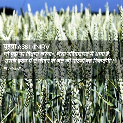 Picture 02 - यूहन्ना 7:38 HINIRV - जो मुझ पर विश्वास - Bible Verse Picture
