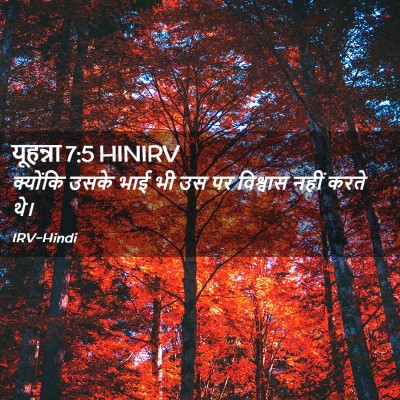 Picture 02 - यूहन्ना 7:5 HINIRV - क्योंकि उसके भाई - Bible Verse Picture