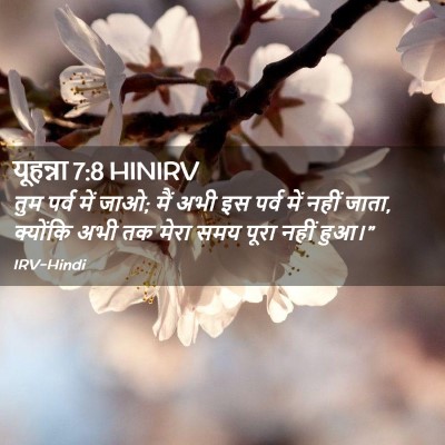 Picture 02 - यूहन्ना 7:8 HINIRV - तुम पर्व में जाओ; - Bible Verse Picture