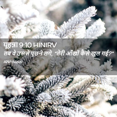 Picture 02 - यूहन्ना 9:10 HINIRV - तब वे उससे पूछने - Bible Verse Picture