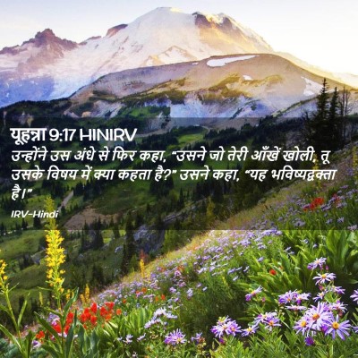 Picture 02 - यूहन्ना 9:17 HINIRV - उन्होंने उस अंधे - Bible Verse Picture