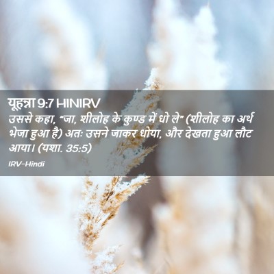 Picture 02 - यूहन्ना 9:7 HINIRV - उससे कहा, “जा, - Bible Verse Picture