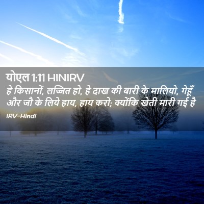 Picture 02 - योएल 1:11 HINIRV - हे किसानों, लज्जित - Bible Verse Picture