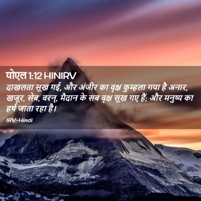 Picture 02 - योएल 1:12 HINIRV - दाखलता सूख गई, और - Bible Verse Picture