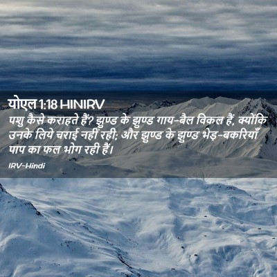 Picture 02 - योएल 1:18 HINIRV - पशु कैसे कराहते - Bible Verse Picture